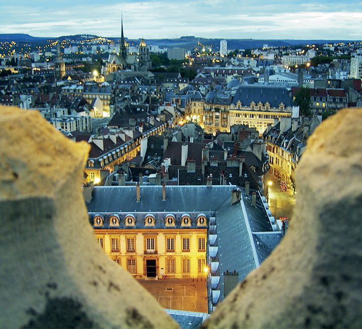ecole ferrandi dijon